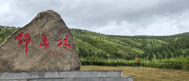 13，锦华林碑.jpg