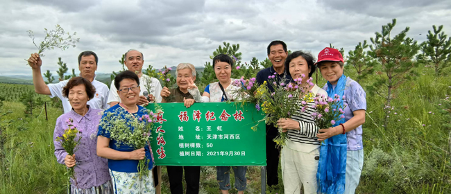 43、伙伴们种的树已经成林.jpg
