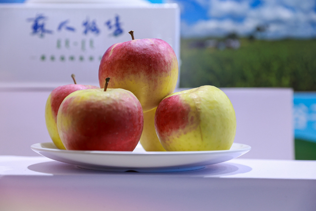 1763436145575299.jpeg 28.jpeg